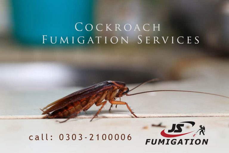 cockroach fumigation services pakistan