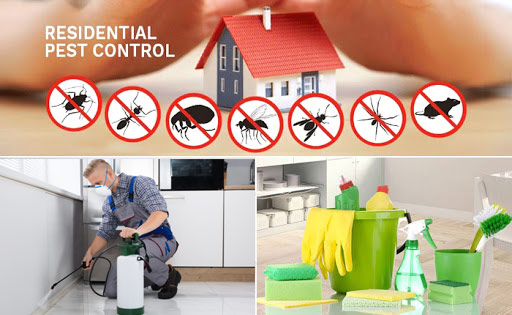 residential rest control services karachi
